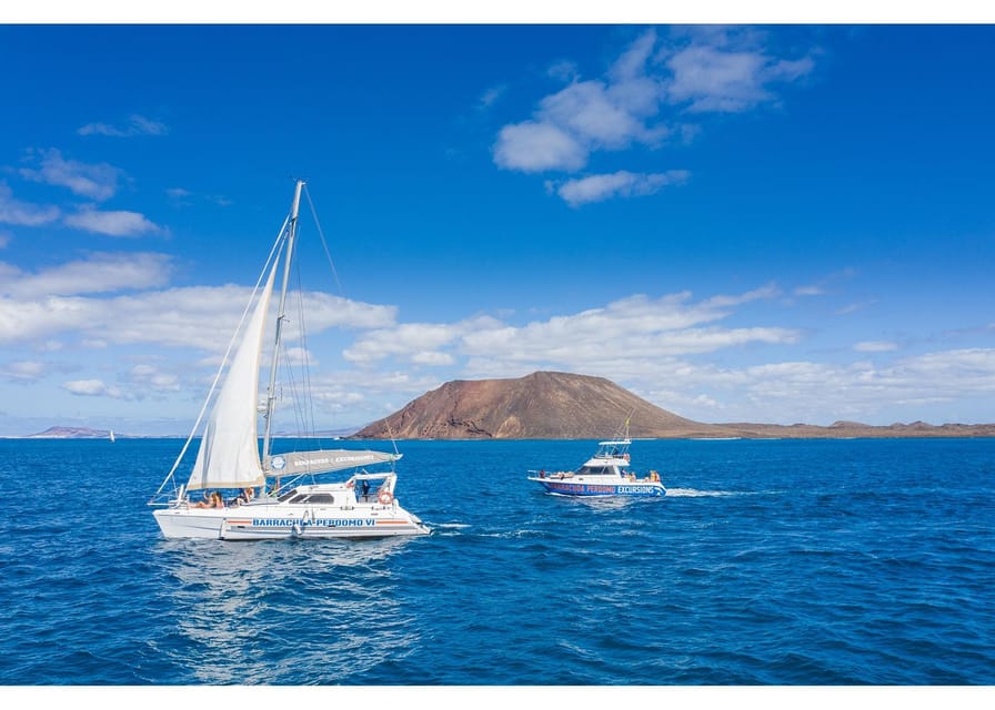 Fuerteventura: Whale & Dolphin Watching Boat Tour with Guide - Where You Cruise for Bottlenose Dolphins and Pilot Whales