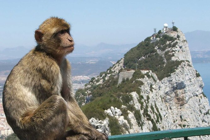 Gibraltar with St Michael Caves Guided Tour from Costa del Sol - A British-Feeling Day Trip From The Costa del Sol
