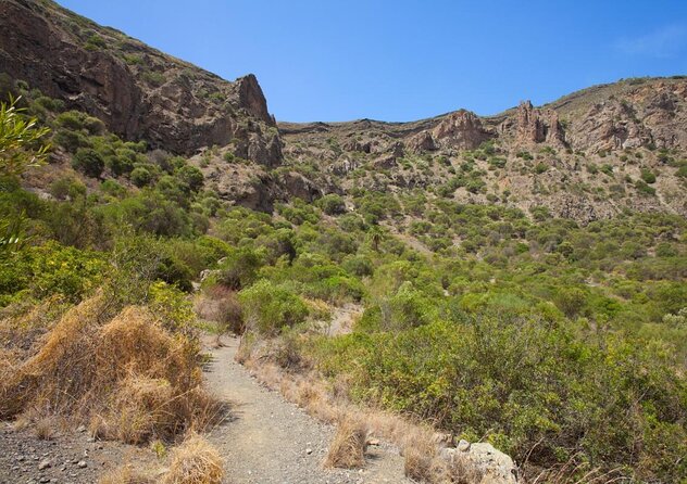 Gran Canaria 7 Highlights Small Group Tour with Tapas Picnic - Key things that make this tour work