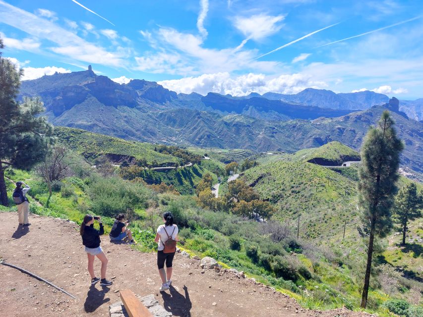 Gran Canaria 7 Highlights Small Group Tour with Tapas Picnic - Pine forest tapas picnic, plus the little food details that count