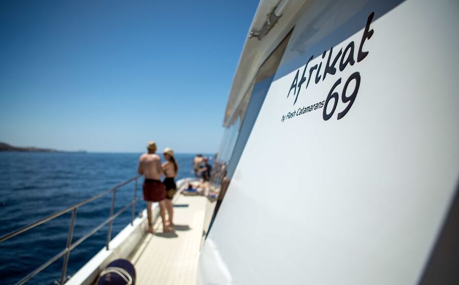 Gran Canaria: Afternoon Catamaran Cruise with Food & Drink - Who should book this cruise