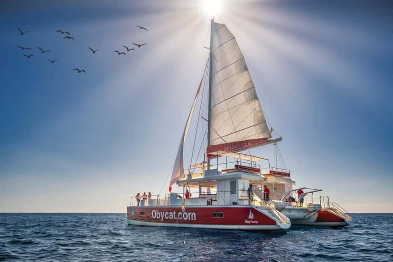 Gran Canaria: All-inclusive tour in the south of Gran Canaria - Key things that make this cruise worth your time