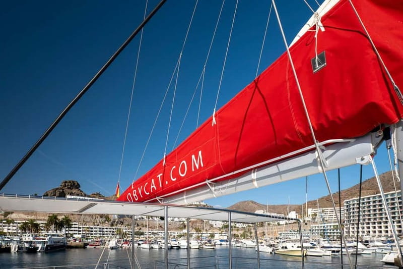 Gran Canaria: All-inclusive tour in the south of Gran Canaria - Lunch on board: paella, papas arrugadas, and mojo
