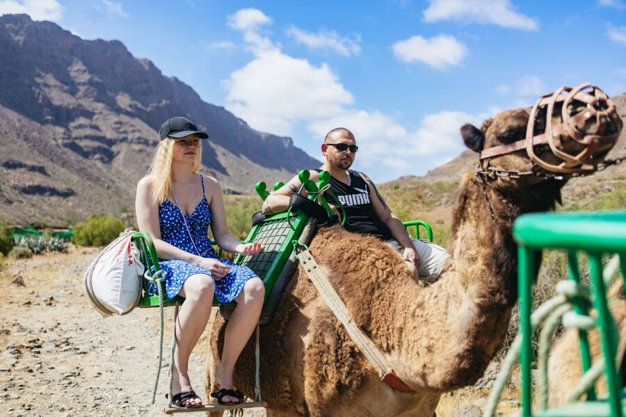 Gran Canaria: Camel Ride Safari w/ Optional Food & Transport - Quick highlights (why this safari is a solid pick)