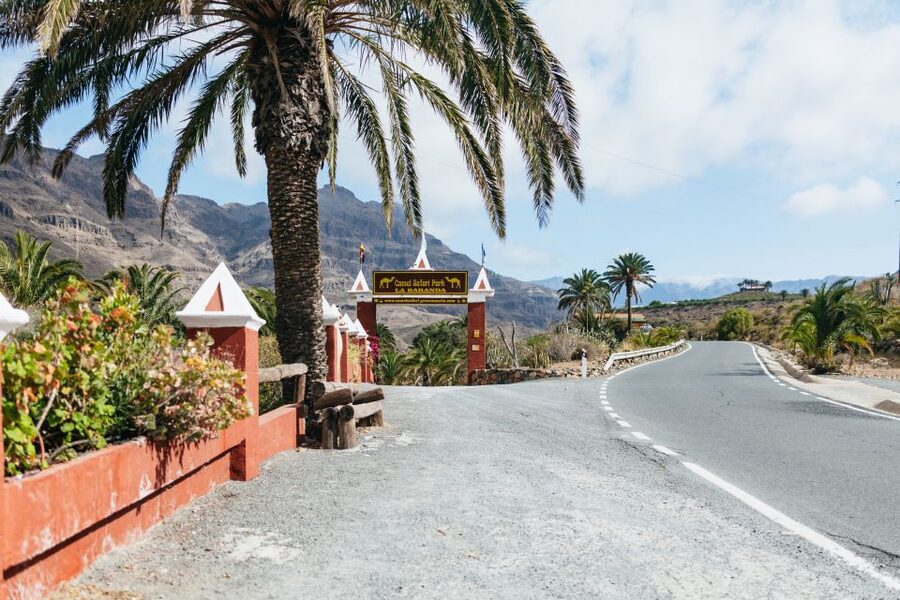 Gran Canaria: Camel Ride Safari w/ Optional Food & Transport - Who should book, and who should skip this safari