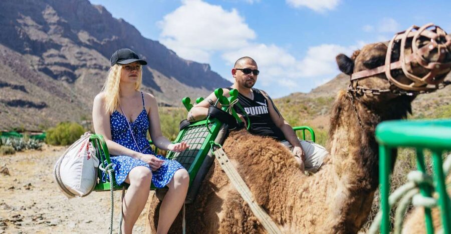 Gran Canaria: Camel Ride Safari w/ Optional Food & Transport - Entering the Oasis of the 1,000 Palms by Camel