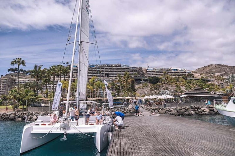 Gran Canaria: Catamaran Tour with Lunch on Pristine Beaches - From pickup to Puerto de Mogán: the smooth start