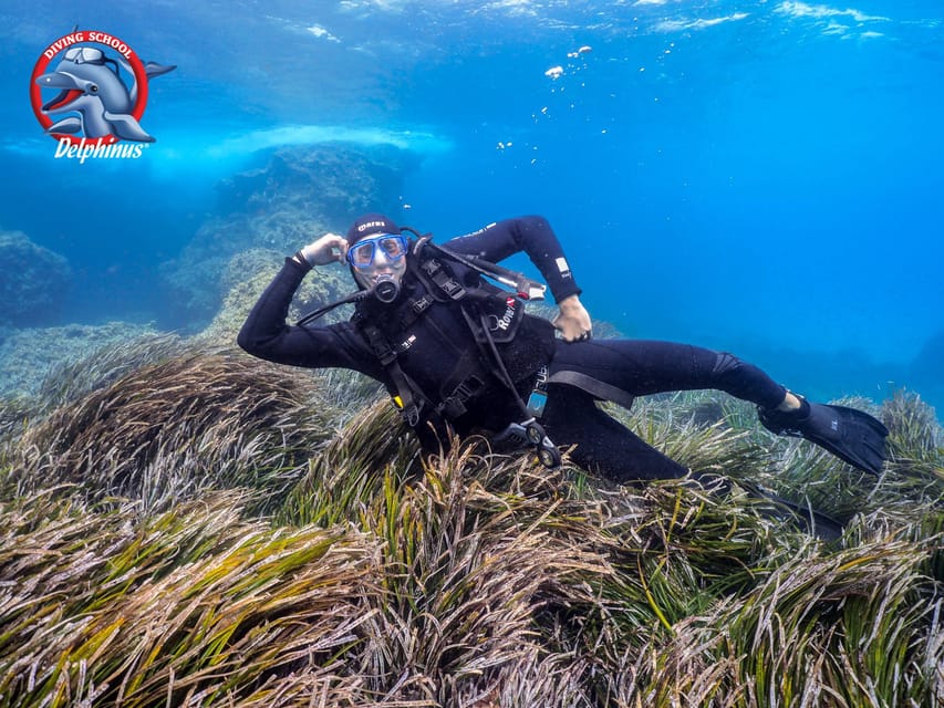 Gran Canaria: Discover Scuba Diving Beginner Program - Four Hours In Mogan: What You Really Do