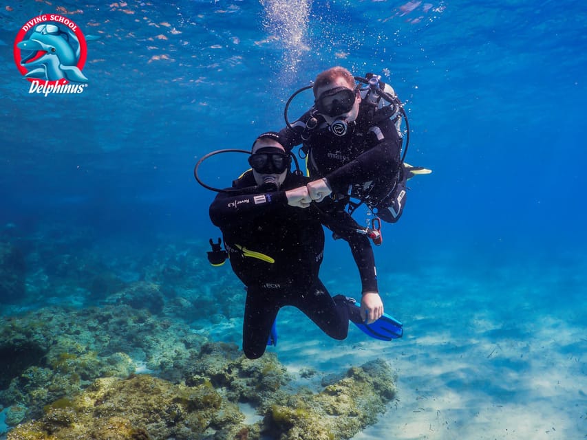 Gran Canaria: Discover Scuba Diving Beginner Program - Atlantic Open-Water: Seeing Marine Life, Not Wrestling Buoyancy