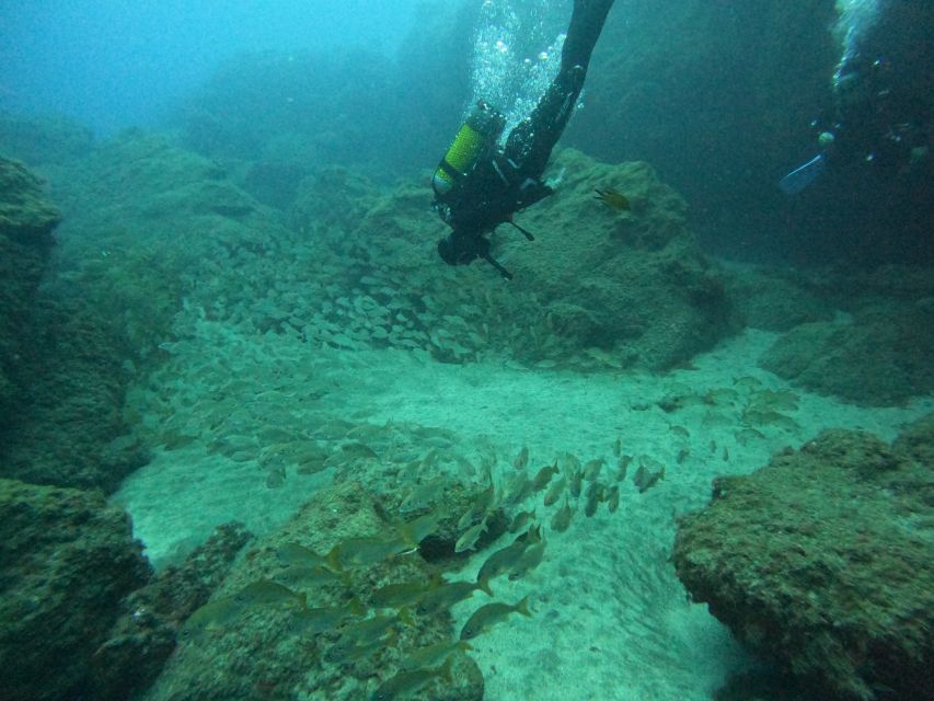 Gran Canaria: Discover Scuba Diving - Free Transfers - How the About-30-Minute Training Works