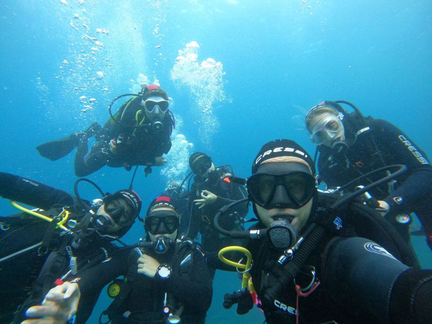 Gran Canaria: Discover Scuba Diving - Free Transfers - Choosing Amadores or Tufia: Where the Marine Life Chances Improve