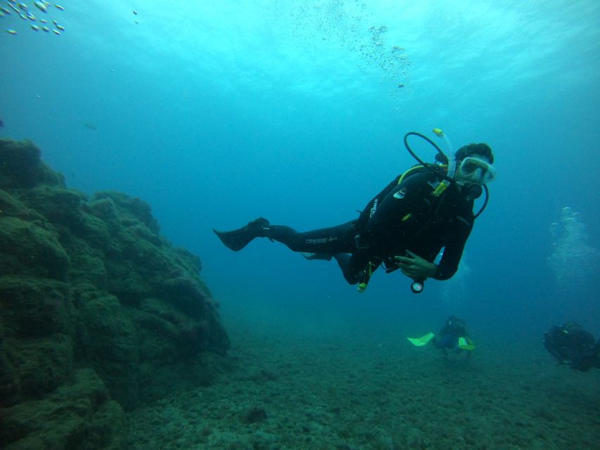 Gran Canaria: Discover Scuba Diving - Free Transfers - When High Season Splits the Group, and Why You Might Wait