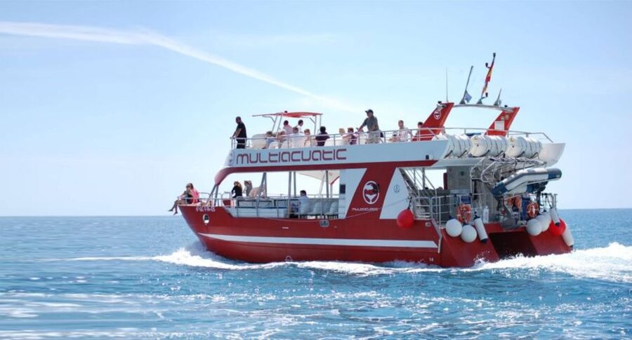 Gran Canaria: Dolphin and Whale Watching Cruise - What makes this cruise feel worth your time