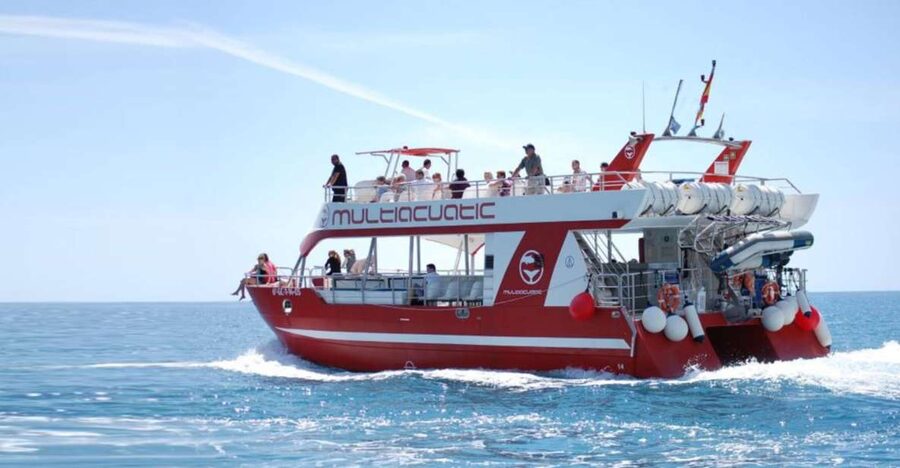 Gran Canaria: Dolphin and Whale Watching Cruise - Arriving at the harbor and why timing can feel different