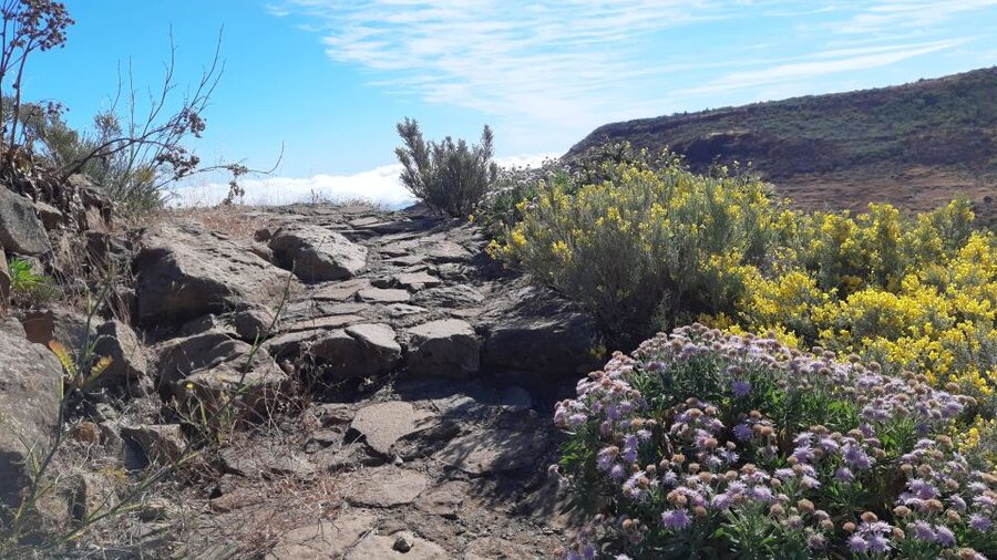Gran Canaria: Full-Day Guided Hiking With Snacks - Why Gran Canaria hiking works so well with a guide