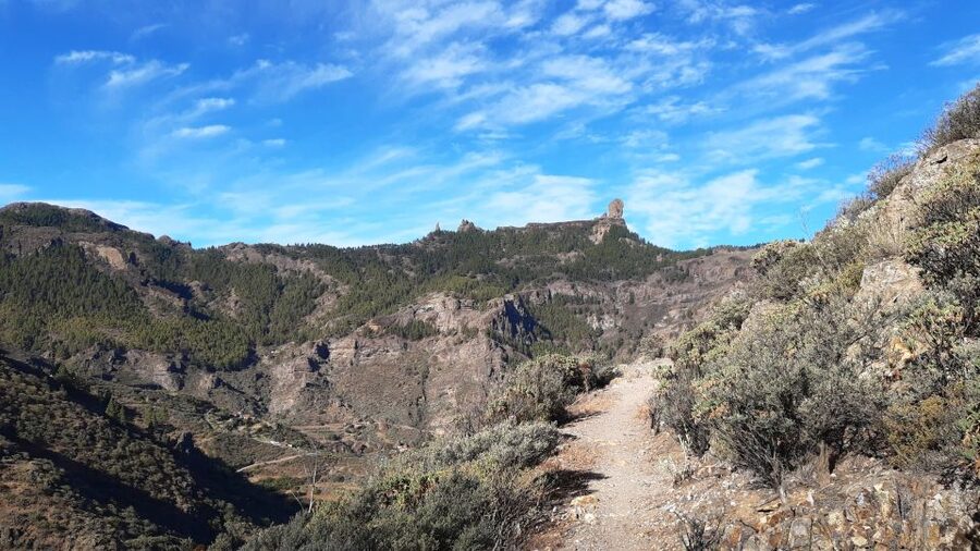 Gran Canaria: Full-Day Guided Hiking With Snacks - Pickup timing around Maspalomas, Meloneras, and beyond