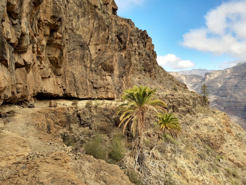 Gran Canaria: Full-Day Guided Hiking With Snacks - How the guide chooses your exact route that day