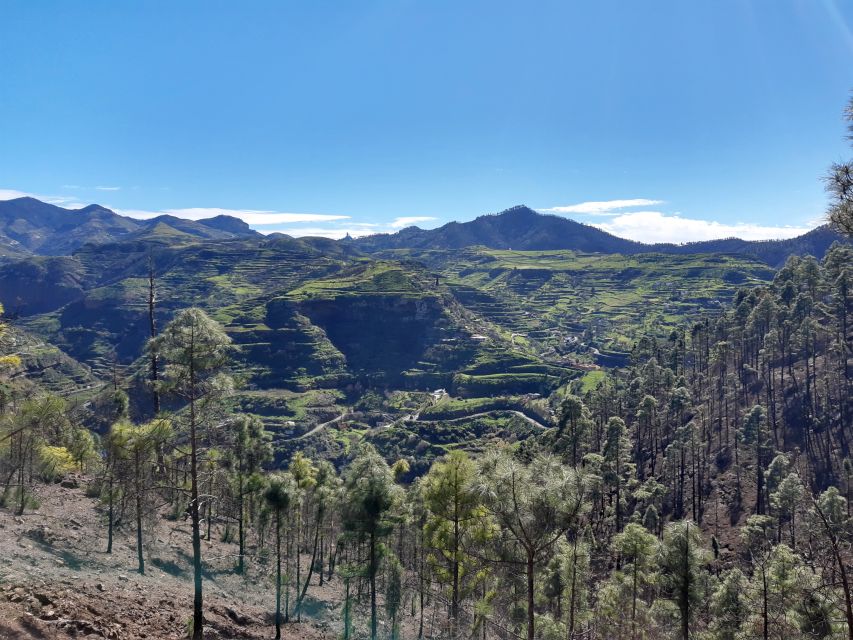 Gran Canaria: Full-Day Guided Hiking With Snacks - The included lunch and snack reality check