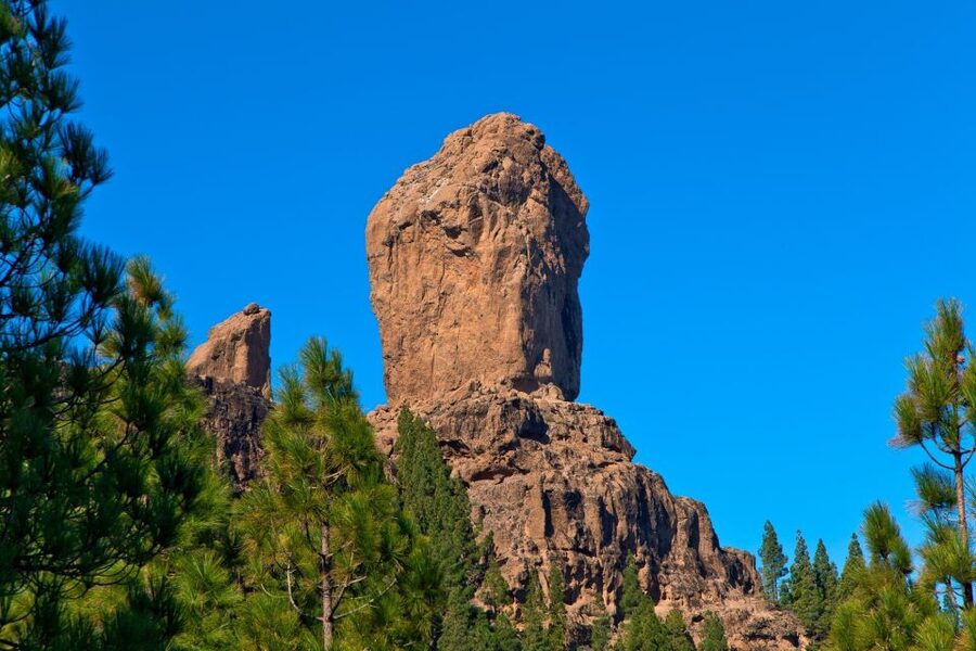 Gran Canaria: Full-Day VIP Tour by Bus - From hotel pickup to the old aboriginal quarter of Agüimes