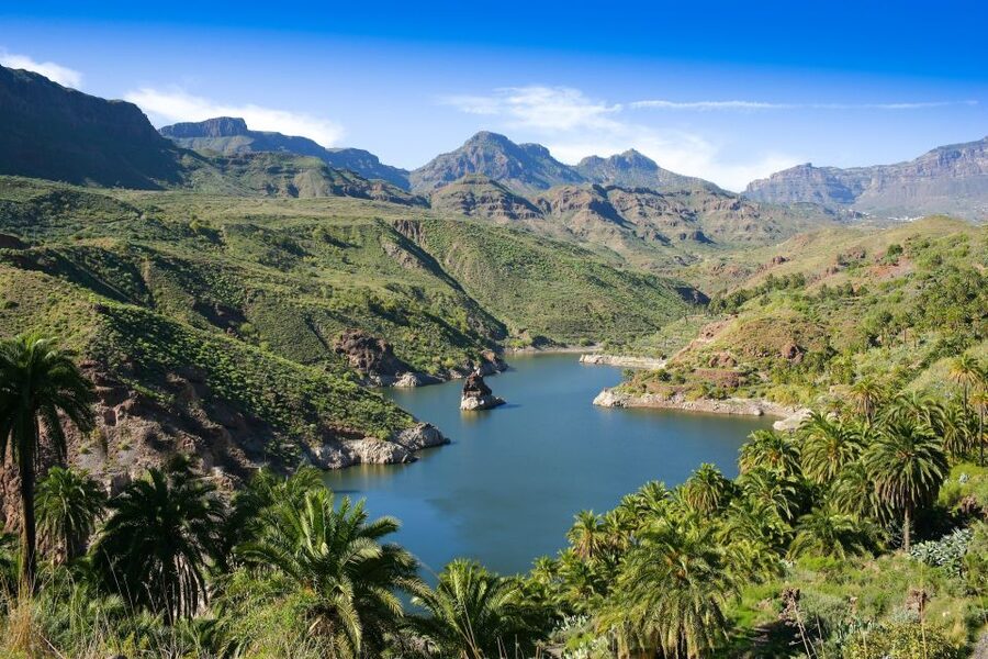 Gran Canaria: Full-Day VIP Tour by Bus - Aloe vera plantation: one of the best hands-on stops