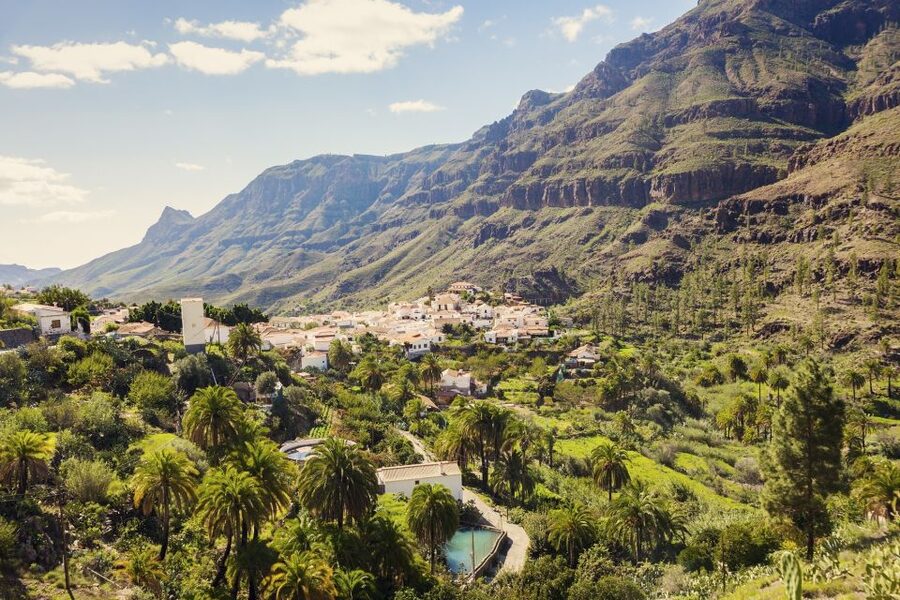 Gran Canaria: Full-Day VIP Tour by Bus - The green interior: canyons, farms, and Roque Nublo setup