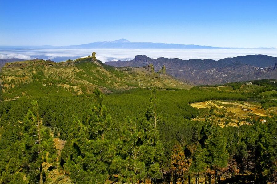 Gran Canaria: Full-Day VIP Tour by Bus - Roque Nublo to Tejeda: viewpoints plus a quick taste of local shopping