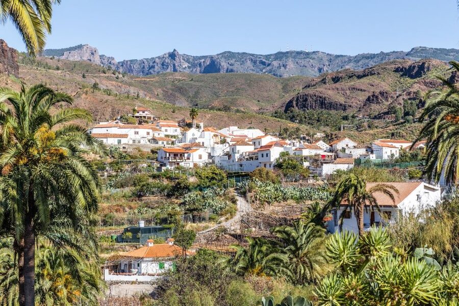 Gran Canaria: Full-Day VIP Tour by Bus - Lunch plans: usually not included, but you can eat well for less