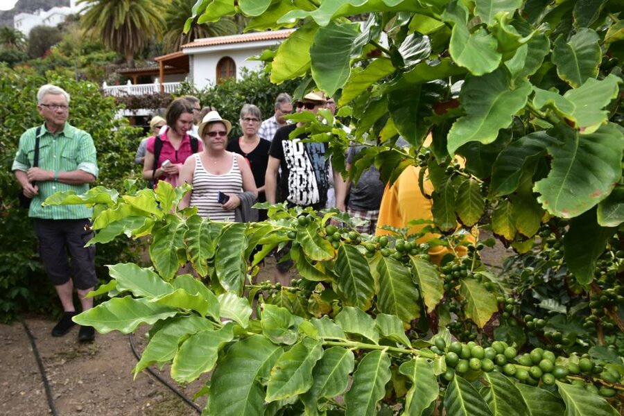 Gran Canaria: Grand Island Tour by Bus with Transfers - The south coast and Montañas Azules volcanic color tones