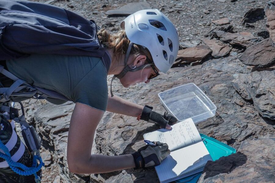 Gran Canaria: Guided Via Ferrata Excursion - Learning About Gran Canaria While You Move