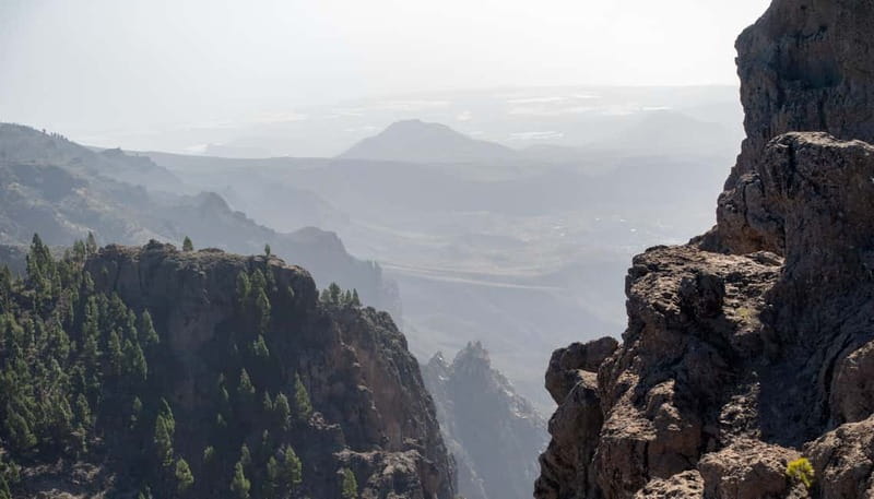 Gran Canaria: Island Highlights Tour with Optional Lunch - Price and What You Really Get for $81
