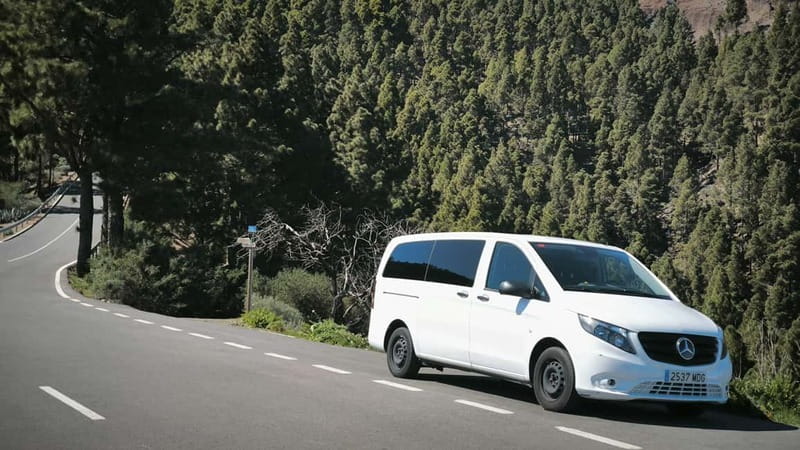Gran Canaria: Island Highlights Tour with Optional Lunch - Aloe Vera Finca Canarias: Guided Visits and a Photo-Friendly Start