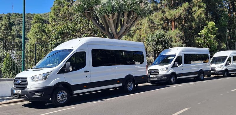 Gran Canaria: Island Highlights Tour with Optional Lunch - Getting the Most Out of the Photo Stops