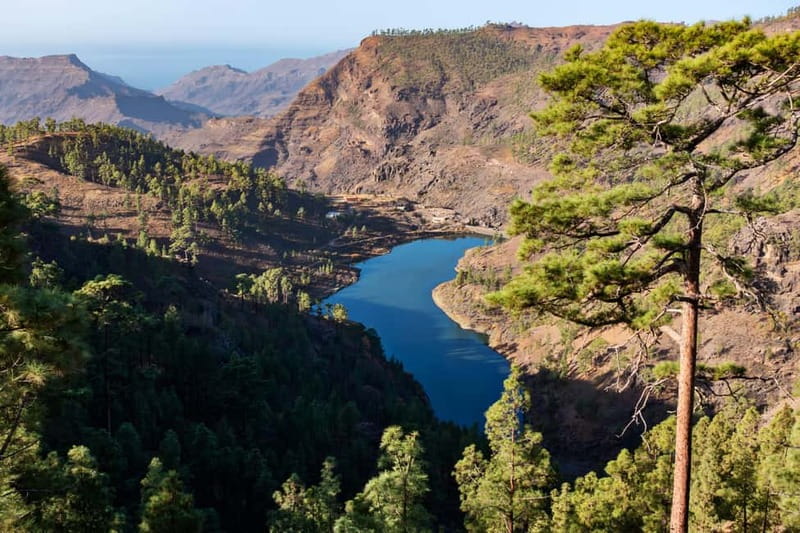 Gran Canaria: Island Highlights Tour with Optional Lunch - The Route Starts in Maspalomas and Sets the Tone