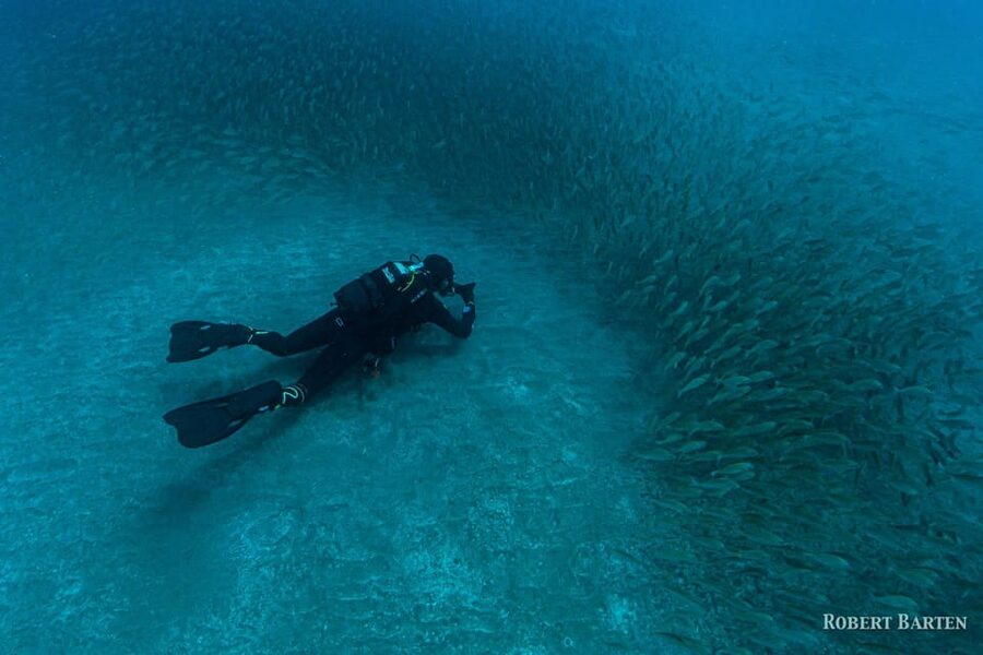 Gran Canaria:Live an Adventure and Learn to Dive with Expert - Should you book this Gran Canaria underwater training?