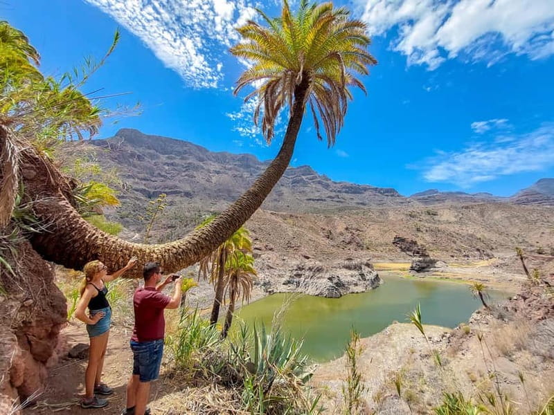 Gran Canaria: Red Gorge, Cave, Oasis Adventure Tour & Picnic - Barranco de las Vacas: walking a tuff ravine without needing expert fitness
