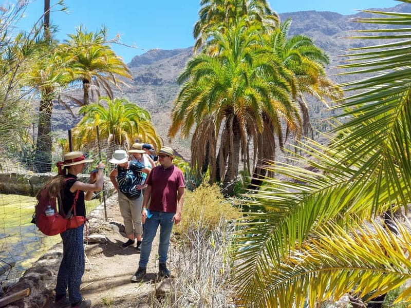 Gran Canaria: Red Gorge, Cave, Oasis Adventure Tour & Picnic - Temisas photo stop plus guided walk: where the town slows you down