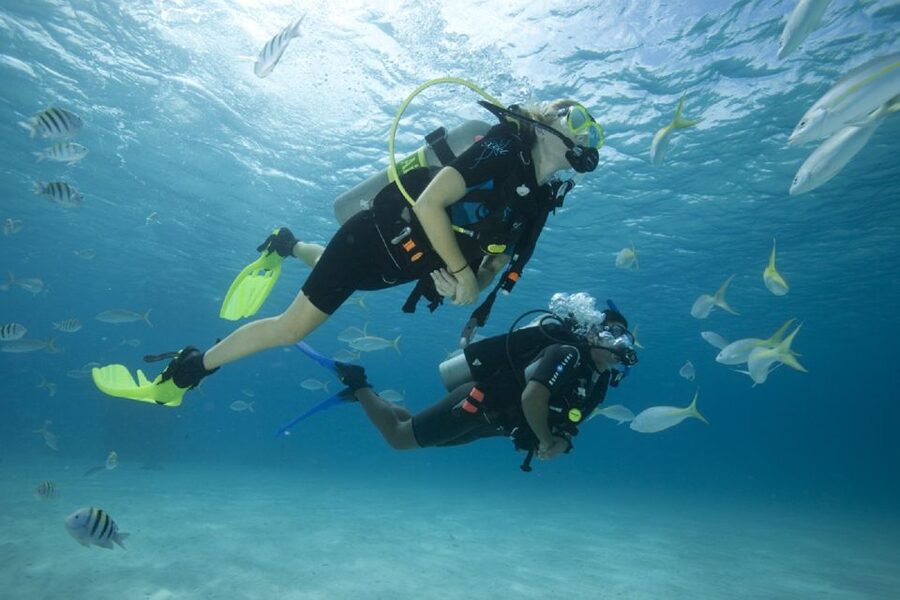 Gran Canaria: Scuba Diving for Beginners - The “what is this” part: PADI’s beginner program style
