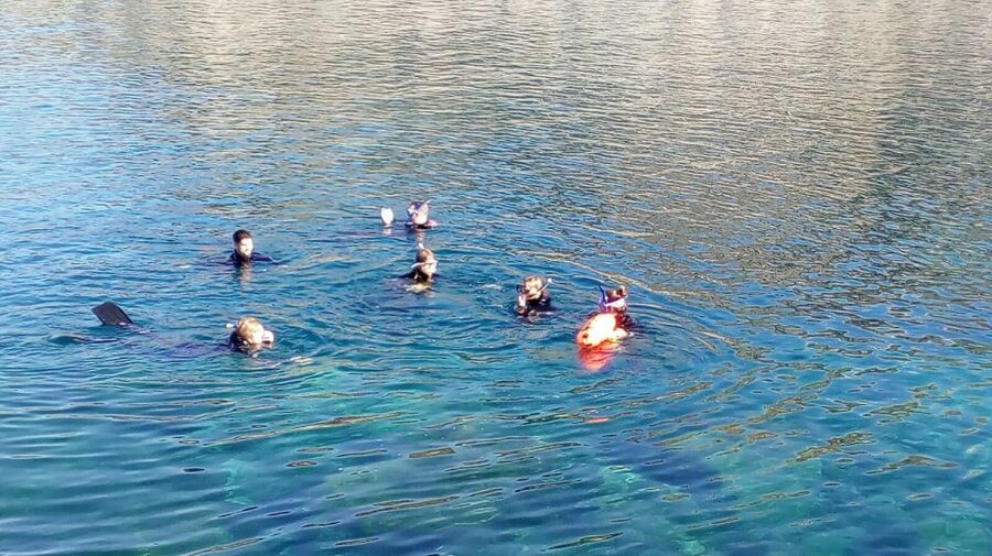 Gran Canaria: Snorkeling Trip - Getting Started at the Base in Puerto Rico de Gran Canaria