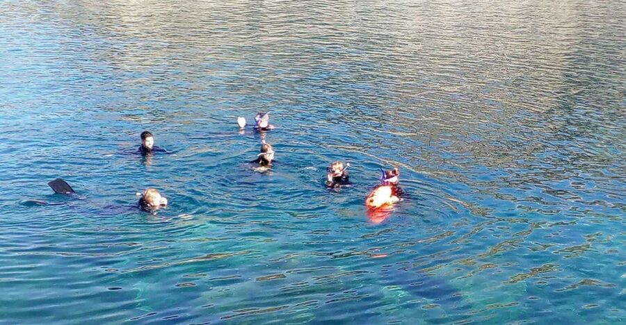 Gran Canaria: Snorkeling Trip - The Beach Transfer: 45 to 60 Minutes to Make It Count