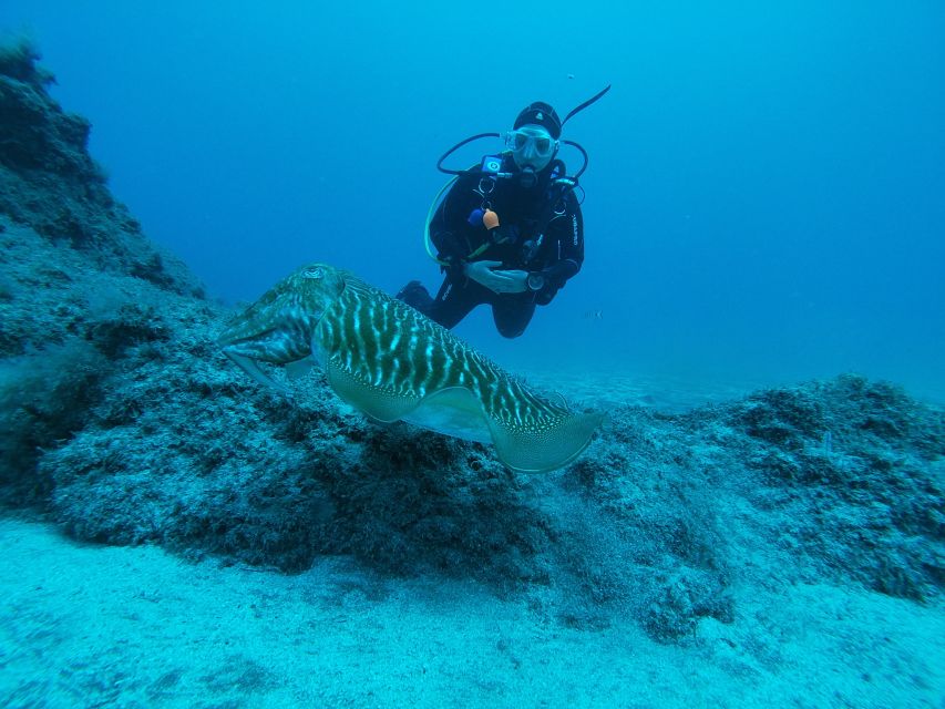 Gran Canaria: Try Scuba Diving for Beginners - Who Should Book This Try Scuba Session, and Who Should Skip It