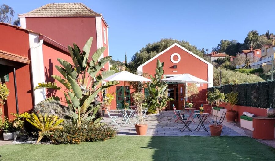 Gran Canaria: Winery Tour, Wine Museum, and Tasting - The family estate story, told with photos and real continuity