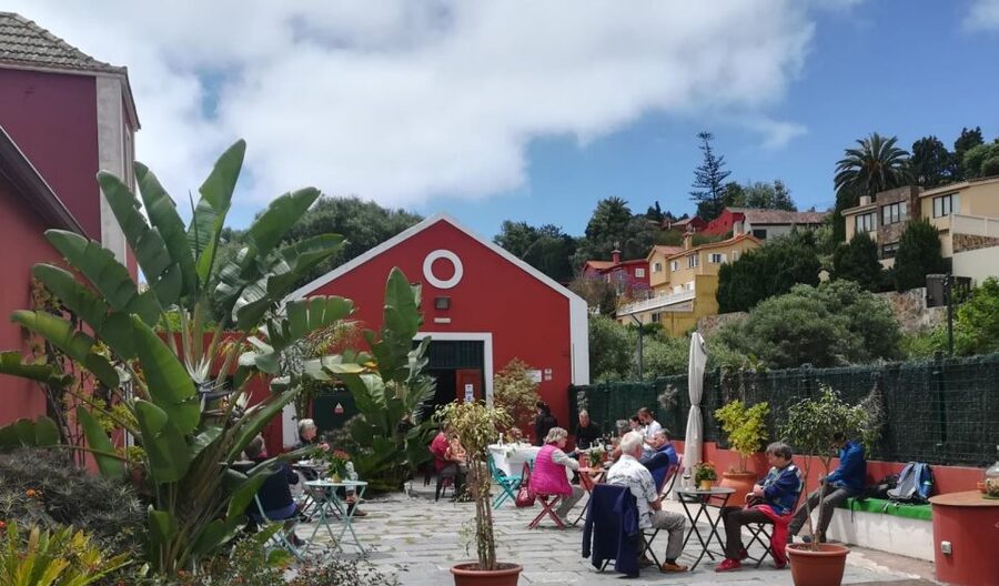 Gran Canaria: Winery Tour, Wine Museum, and Tasting - The cellar smell test: wooden casks and fermentation aromas