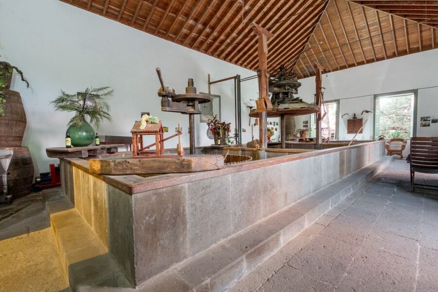 Gran Canaria: Winery Tour, Wine Museum, and Tasting - The tasting: two wines with cheese, toast, and olives