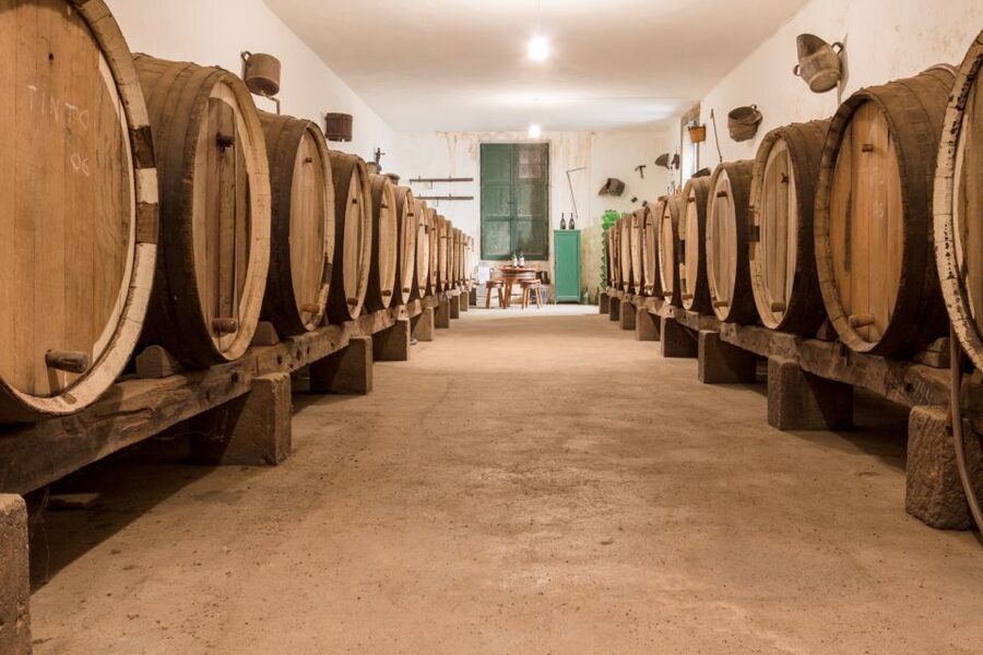 Gran Canaria: Winery Tour, Wine Museum, and Tasting - Food and photo moments you should look for