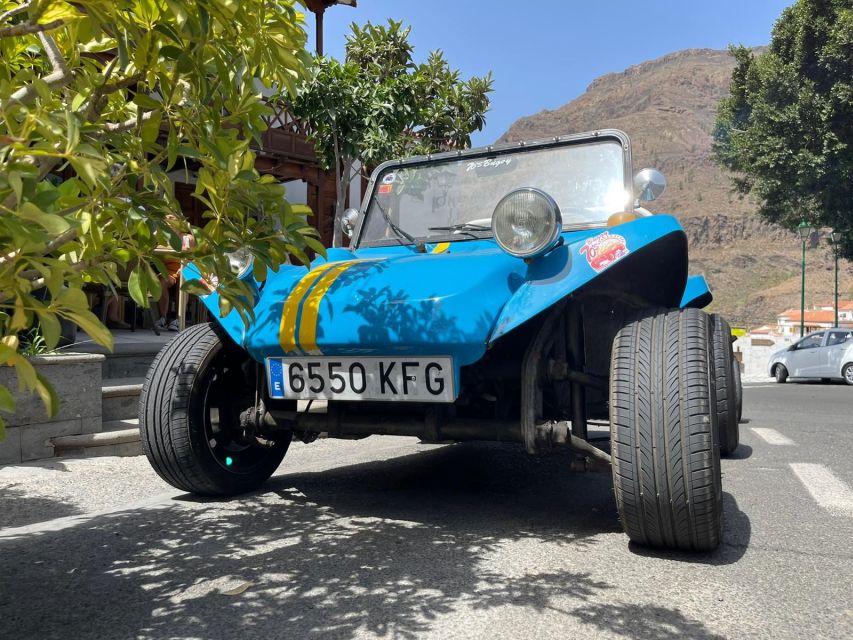 Gran Canary: 70's VW Buggy Tour - Key things to know before you go