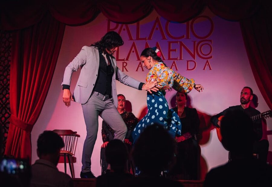 Granada: 1-Hour Traditional Flamenco Show at Palacio - Who should book this flamenco show, and who might prefer something else