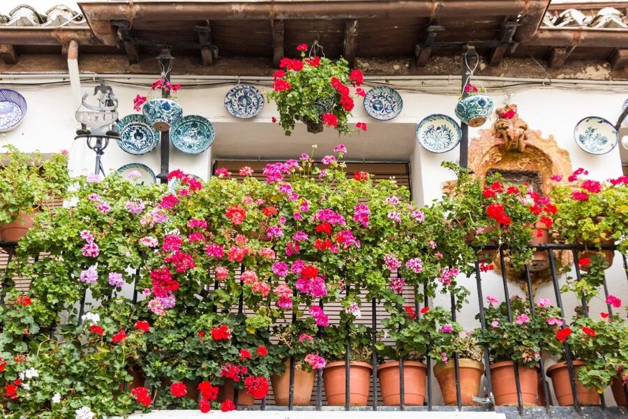 Granada: Albaicín and Sacromonte Walking Tour - Callejón del Aljibe de Trillo and Placeta Comino: where the maze becomes memorable