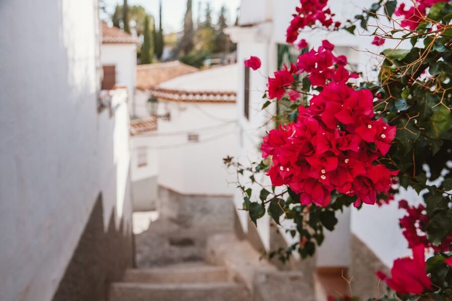 Granada: Albaicín and Sacromonte Walking Tour - Plaza de San Nicolás: the Alhambra view you plan your whole trip around