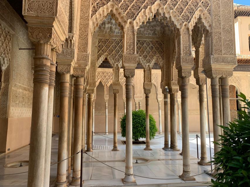 Granada: Alhambra Complex Guided Tour with Ticket - Finding the Access Pavilion, the orange umbrella, and your exact start time
