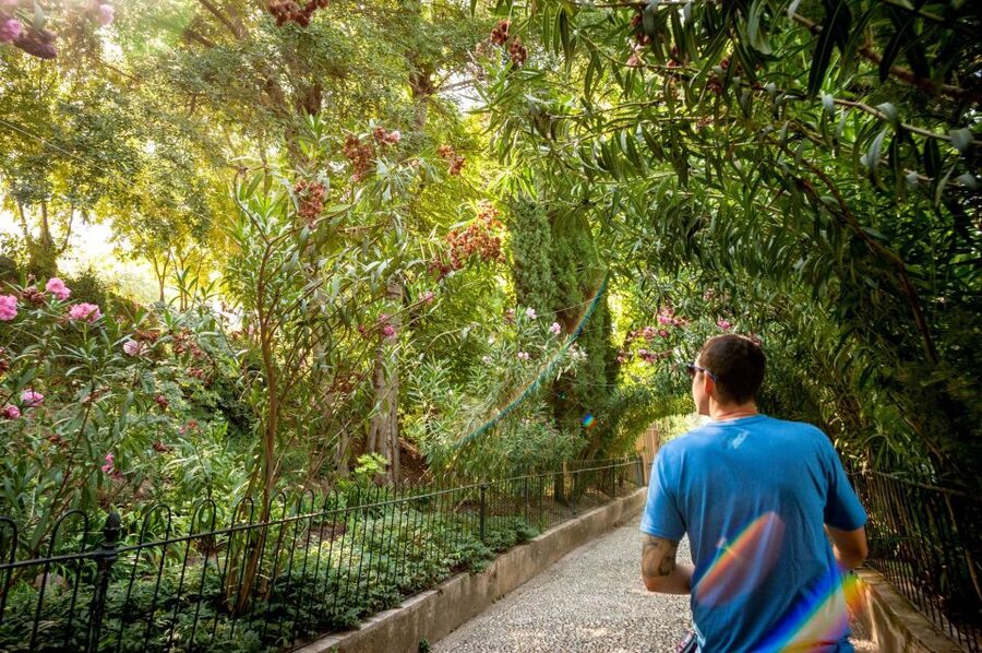 Granada: Alhambra Entry Ticket with Audio Guide - Audio guide with GPS: how to avoid the common headphone and setup headaches